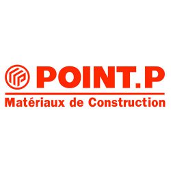 Point-P1